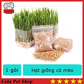 ‍️(10g) HẠT GIỐNG CỎ MÈO TƯƠI NGON BỔ DƯỠNG - Lida Pet Shop