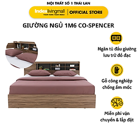 Mua   Miễn Phí Vận Chuyển & Lắp Đặt   Giường ngủ đơn 1m6 CO-SPENCER bằng gỗ công nghiệp cao cấp  màu gỗ tự nhiên sang trọng  kết hợp kệ đầu giường | Index Living Mall - Phân phối độc quyền tại Việt Nam
