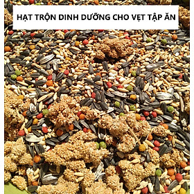 1KG HẠT TRỘN HOÀN CHỈNH ĐẦY ĐỦ DINH DƯỠNG GIAI ĐOẠN TẬP ĂN CHO LOVEBIRD