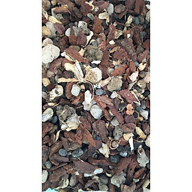Mua Giá thể trồng lan hài đã qua xử lý gói 1kg