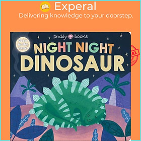 Sách - Night Night Dinosaur by Priddy Books (UK edition, boardbook)