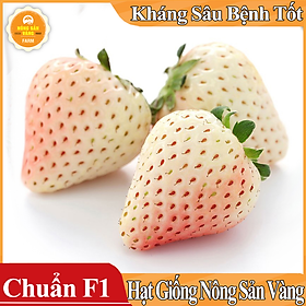 Hạt giống Dâu Tây Trắng ( Gói 30 Hạt )
