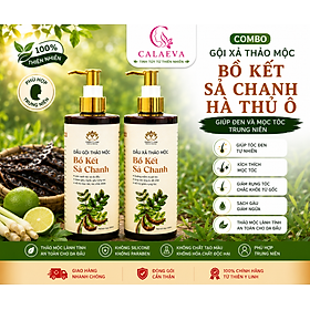 Combo Gội Xả thảo mộc Bồ Kết Sả Chanh Hà Thủ Ô giúp đen và mọc tóc trung niên