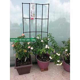 Mua GIÀN LEO ĐA NĂNG KÍCH THƯỚC RỘNG 60* CAO180CM