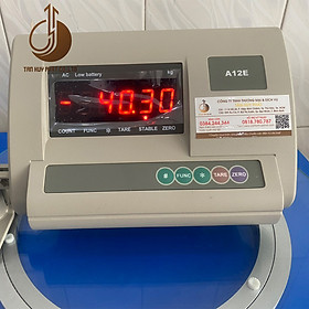 Mua Đầu Chỉ Thị Cân Điện Tử A12E