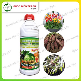 Tinh chất dịch chiết Trùn quế và Rong biển Hoàng Nga Siêu đậm đặc - Chai 1 Lít - Sinh trưởng cực mạnh, ra rễ, xanh lá, to củ, lớn quả VTNN Nông Điền Trang