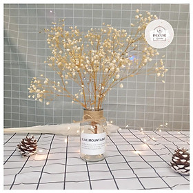 Mua Lọ hoa khô để bàn️hoa baby khô bất tử kèm stiker và dây gai trang trí bàn học decor