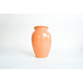 Mua Bình Hoa Tuyết Mai