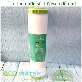 Mua Lõi lọc nước số 1 Nesca đầu bịt - Ecodb001