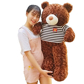 Gấu Bông Teddy 1m2 khổ vải cao 1m