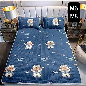 Mua Chiếu điều hòa cao su non 5D mềm mượt mát lạnh  hàng chuẩn xịn loại 1  nhiều họa tiết sinh động