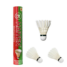 Quả cầu lông tiêu chuẩn thi đấu Yesure HY hộp xanh lá cây đỏ