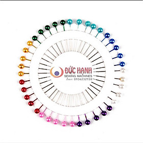 Mua KIM GIM VẢI - KIM CÚC 1 VỈ 40 CÂY KIM