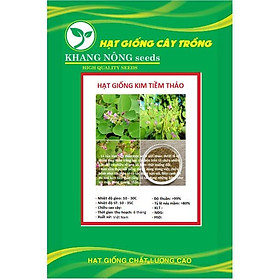 Mua Hạt Giống Kim/tiền/thảo - cây/dược/liệu KNS3503 - Gói 50 hạt