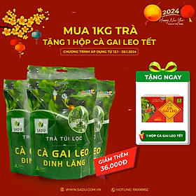 Trà cà gai leo đinh lăng Sadu 1kg mới