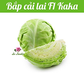 Hạt giống bắp cải chịu nhiệt KAKA gói 0,5gr - DỄ TRỒNG