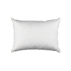 Mua Gối hơi trắng 40 x 60cm