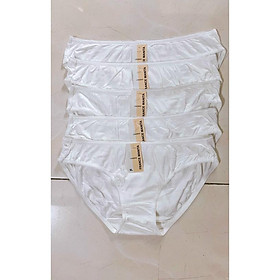 Combo 10 Quần lót học sinh dạng cotton hàng cao cấp ( từ 30kg- 65kg)