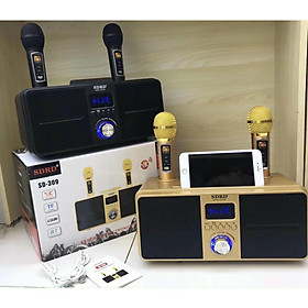 Mua loa nghe nhạc có bluetooth kèm 2 mic hát kâraoke thế hệ mới sd 309