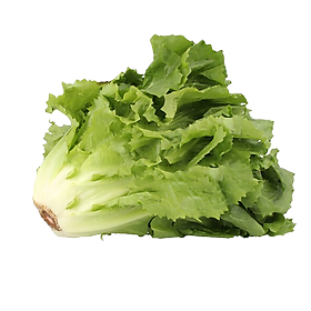 Xà lách Carol 500g