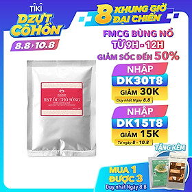 Nhân Hạt Óc Chó Sống DK Harvest Dùng làm Sữa 1000g