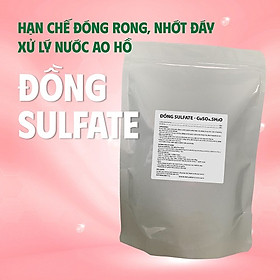 SÁT TRÙNG AO NUÔI ĐỒNG SULFATE - DIỆT RONG RÊU