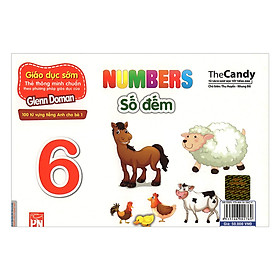 Nơi bán Flashcard Dạy Trẻ Theo Phương Pháp Glenn Doman - Số Đếm (Giao Mẫu Ngẫu Nhiên) - Giá Từ -1đ