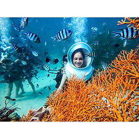 PHÚ QUỐC Tour dịch vụ đi bộ dưới đáy biển