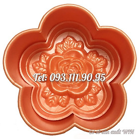 Mua Khuôn ép xôi 5 cánh hoa hồng - Mã số 1545