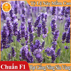 Hình ảnh Hạt giống Hoa Oải Hương ( Gói 50 Hạt ) - Nông Sản Vàng