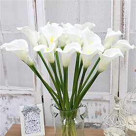 Mua Hoa Giả  Hoa Rum Cao Cấp Cành Dài 70cm Trang Trí Để Bàn  Kệ Tủ  Quán Cafe  Nhà Hàng