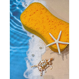 Mua BỌT BIỂN SỐ 8 dụng cụ tạo hiệu ứng chuyên dụng của SƠN ĐẤT SÉT dinaco TERRA+