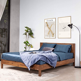 Mua Giường Ngủ Gỗ Tràm MOHO MALAGA 301