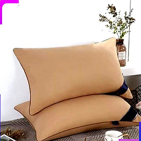 Mua Set 2 ruột gối nhiều màu (giao màu ngẫu nhiên)