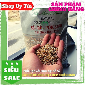 Mua CÁT SÊ RÊ POK  SẠN SUỐI SÊ RÊ POK  TRẢI NỀN BỂ CÁ  HẠT NHIỀU MÀU  ĐẸP TỰ NHIÊN (500G)