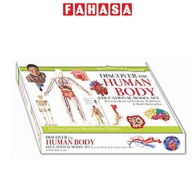 Wonders Of Learning - Educational Model Set - Discover The Human Body