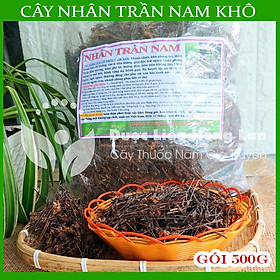Cây nhân trần nam khô 500gram