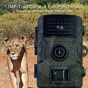 Máy ảnh đường mòn săn bắn 16MP 1080P Hướng đạo động vật hoang dã Cam Tầm nhìn ban đêm Cảm biến bẫy giám sát được kích hoạt chuyển động IP66 Chống nước Màu sắc: camera săn bắn