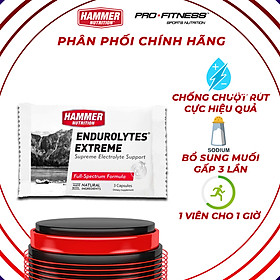 Viên uống điện giải- Hammer Nutrition Endurolytes  Extreme gói 3 viên