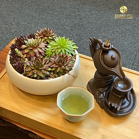 Mua Lư phật trầm hương xông đốt nụ trầm hương hình ấm trà - Trầm Hương Dương Gia