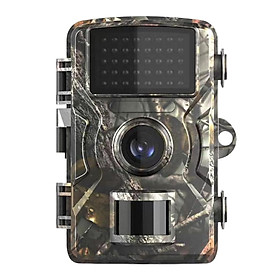 1920x1080 Trail Camera for Wildlife Viewing Farm Area