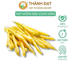 Mua Hạt giống đậu cove vàng (đậu cô bơ) bụi lùn siêu trái - Gói 50gr