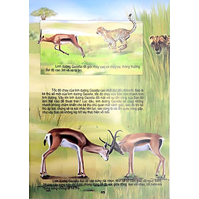 Sách Thế Giới Động Vật Kì Thú - Động Vật Có Vú