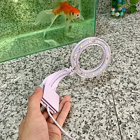Đèn bể cá LED trắng dành cho bể cá mini, bể thủy sinh