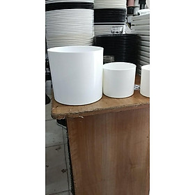 Mua Chậu nhựa trắng trồng cây