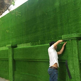 Mua 20m2 thảm cỏ nhân tạo 3cm