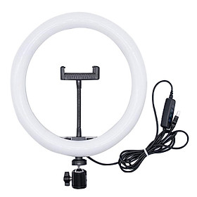 LED Ring Light with Tripod Stand & Phone Holder Dimmable Desk Makeup Ring Light for Photography, Shooting with 3 Light Modes & 10 Brightness Level