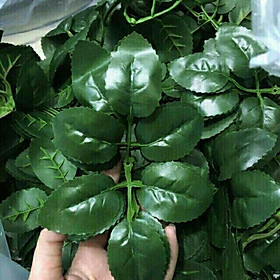 Mua 1kg lá hoa hồng các loại - Lá giả
