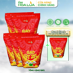 [Tặng 2Kg Gạo ST25] Combo 10kg Gạo ST25 Hoa Lúa túi 2kg (Tổng 12Kg)