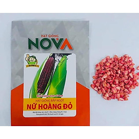 Mua Hạt giống bắp ngọt Nữ Hoàng Đỏ -50 hạt _công ty NOVA_ăn sống rất ngon